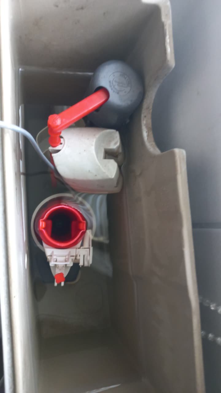 Plumber Irene service photo