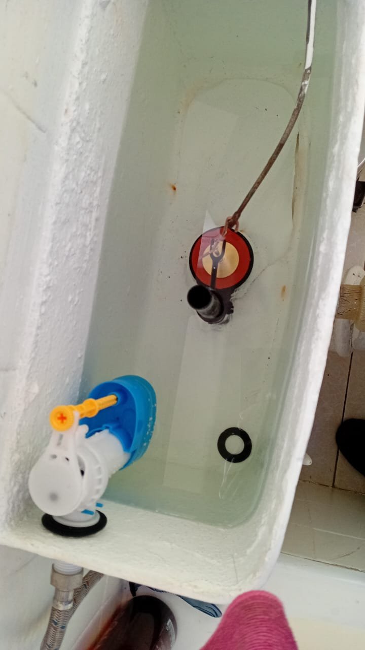 Plumber Pierre van Ryneveld
