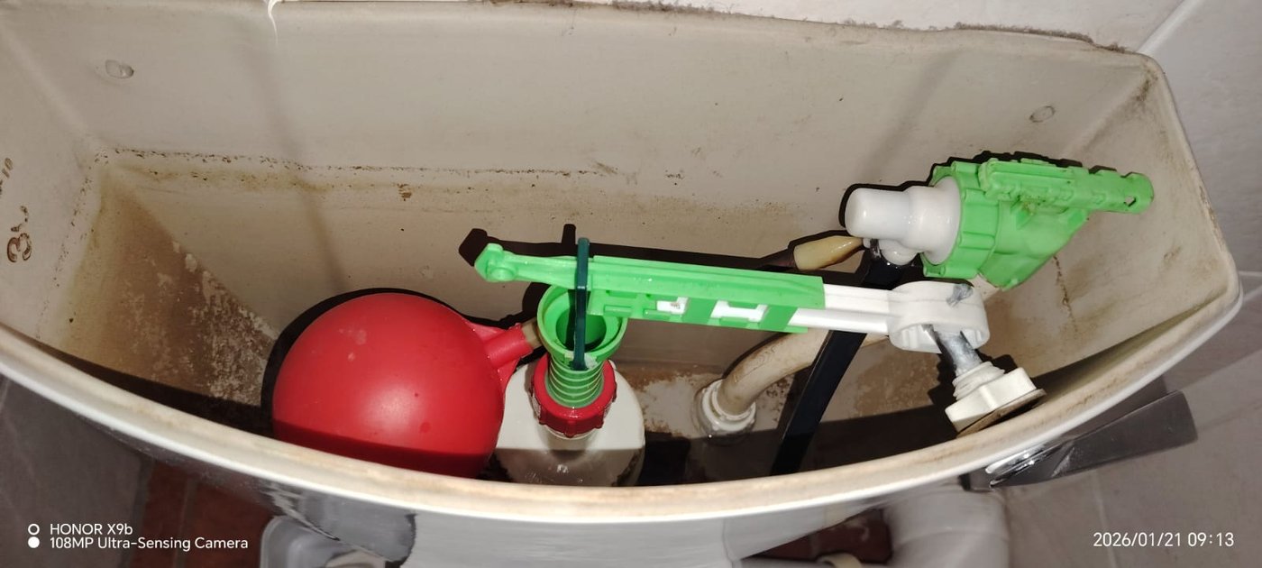 Plumber Thatchfield Hills service photo